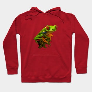 Green lake frog on the moss Hoodie